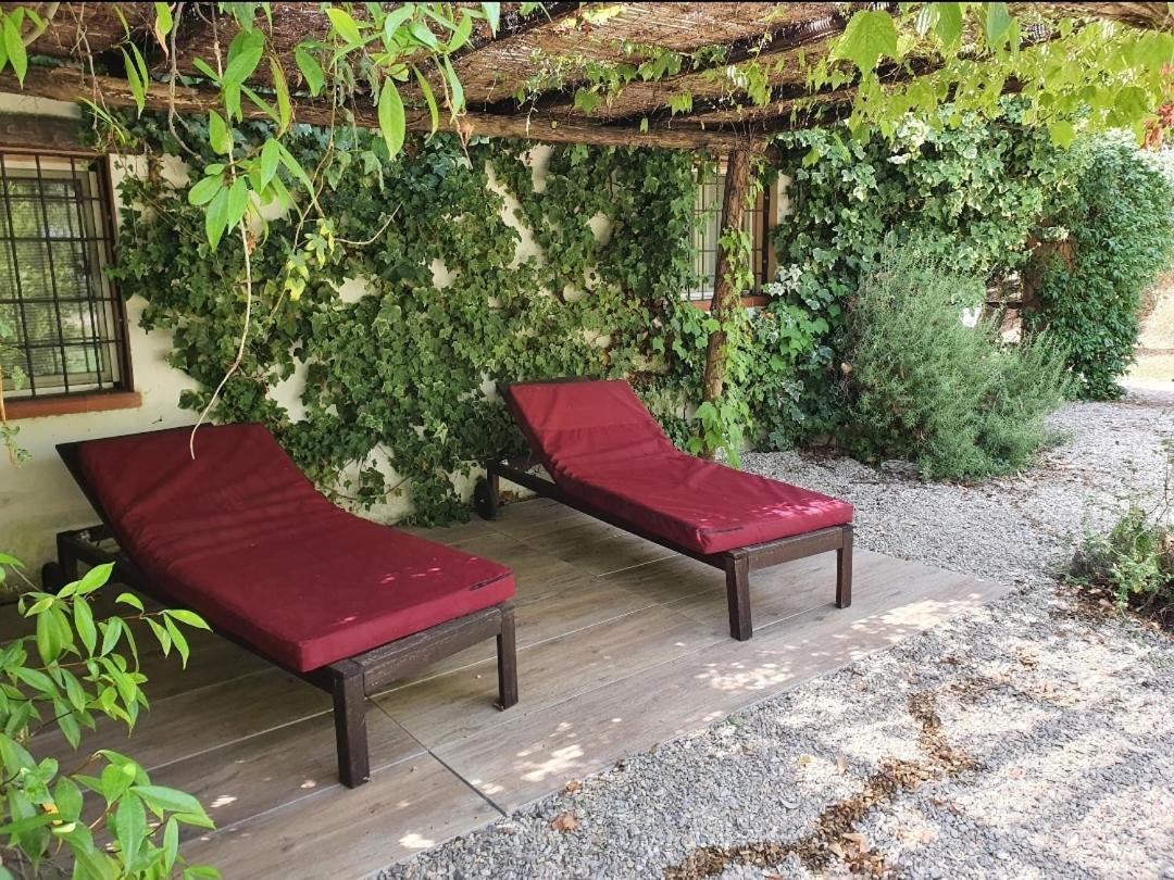 Ferienwohnung Il Piccolo Borgo Montalto di Castro Exterior foto